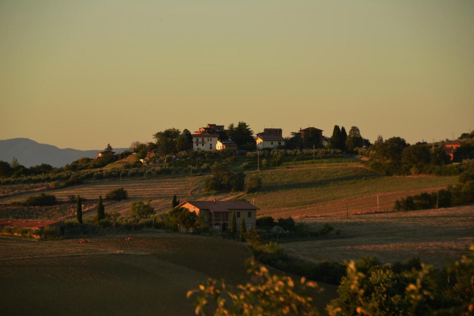Agriturismo La Casetta Del Sole Villastrada  Екстер'єр фото